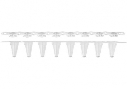Axygen® 0.1 mL Low Profile Polypropylene Thin Wall PCR Tube Strips and Real Time Strip Caps, 8 Tubes and Caps/Strip, Clear, Nonsterile