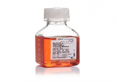 Thermo Fisher Scientific Recovery™ Cell Culture Freezing Medium, 50 ml 