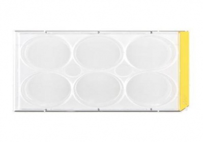 TPP Tissue culture test plate, 6 wells