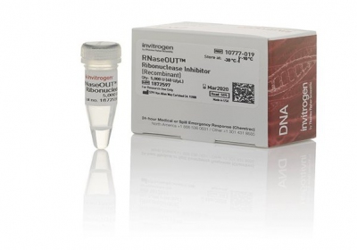 Thermo Fisher Scientific RNaseOUT™ Recombinant Ribonuclease Inhibitor, 5000 units 