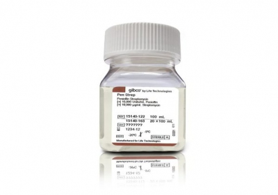 Thermo Fisher Scientific Penicillin-Streptomycin (10,000 U/mL), 100 ml