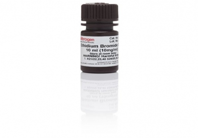 Thermo Fisher Scientific UltraPure™ 10 mg⁄ml Ethidium Bromide, 10 ml 