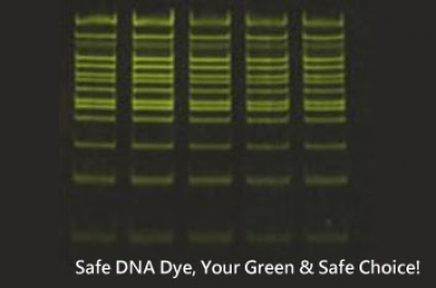AvanSafeTM GREEN DNA Dye, 20,000X in Water, 1ml