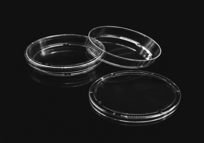 LABSELECT 100mm Cell Culture Dish, TC-treated (10pcs/bag)