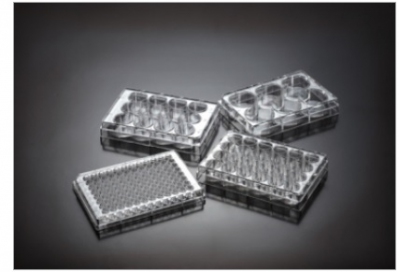Ready Stock - Biomedia Cell culture plates, Treated, 96-well, per pack