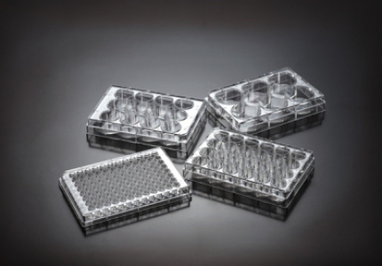 2023 PROMO - Biomedia Cell Culture Plates, Treated, 6-well, 5/pack*