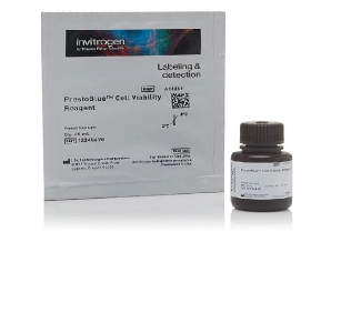 Thermo Fisher Scientific PrestoBlue® Cell Viability Reagent, 25 ml 