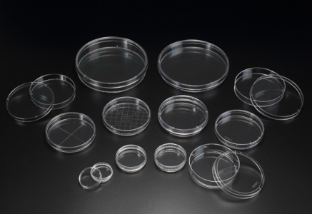 2023 PROMO - SPL 35mm Petri Dish, 20/pack