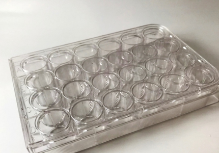 Corning 24-well cell culture plates, 10pcs