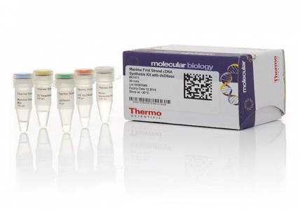 Thermo Scientific Maxima First Strand cDNA Synthesis Kit for RT-qPCR
