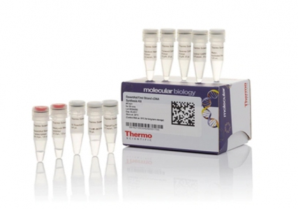Thermo Scientific RevertAid First Strand cDNA Synthesis Kit, 20 reactions