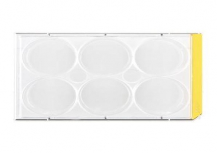 TPP Tissue culture test plate, 6 wells