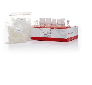 Thermo Fisher Scientific PureLink® Genomic DNA Mini Kit, 50 preps 
