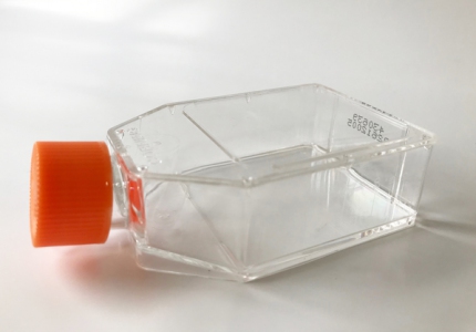 Corning TC Flask 25cm²  Rectangular Canted Neck & Vent Cap (Filter cap)