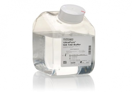 Thermo Fisher Scientific UltraPure™ TAE Buffer, 10X, 1000 ml 