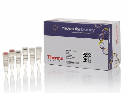 Thermo Scientific RevertAid RT Reverse Transcription Kit, 500 reactions