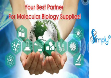 Simply Biologics GlutaGO™ Supplement, 100X, 200 mM dipeptide L-alanyl-L-glutamine, 100 mL