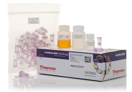 Thermo Scientific GeneJET Gel Extraction Kit