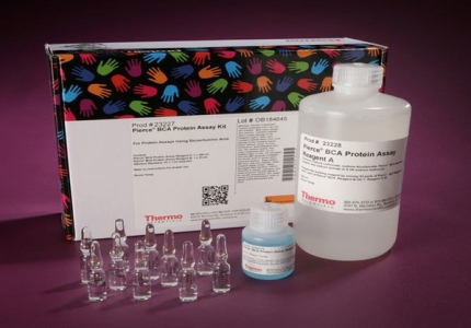 Thermo Scientific Pierce™ BCA Protein Assay Kit