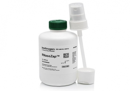 Thermo Fisher Scientific RNaseZap® RNase Decontamination Solution, 250 ml 