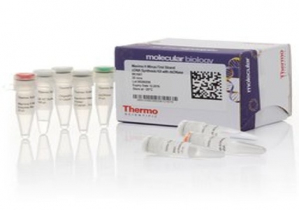 Thermo Scientific Maxima H Minus First Strand cDNA Synthesis Kit