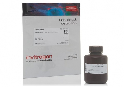 Thermo Fisher Scientific AlamarBlue® Cell Viability Reagent, 100 ml