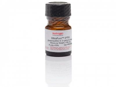 Thermo Fisher Scientific IPTG, 1g