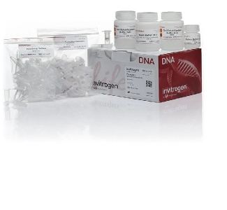 Thermo Fisher Scientific PureLink® Quick Gel Extraction Kit, 50 preps 