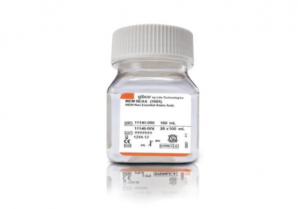 Thermo Fisher Scientific MEM Non-Essential Amino Acids Solution (100X), 100 ml