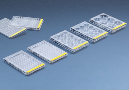 TPP 24 well cell culture plates, 4/pack