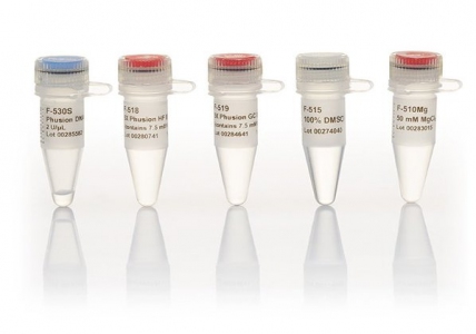 Thermo Scientific Phusion High-Fidelity DNA Polymerase