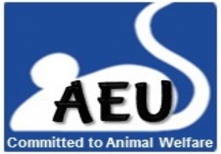 Animal Experimental Unit (AEU), FOM, UM