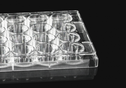 LABSELECT 24-well Clear Multiple Well Plates (1pc/bag)