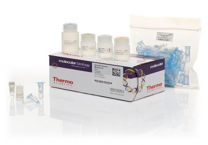 Thermo Scientific GeneJET Plasmid Miniprep Kit