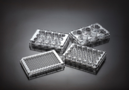 Biomedia Cell culture plates, Treated, 6-well, per case