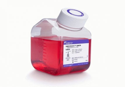 Thermo Fisher Scientific Knockout™ DMEM, 500 ml