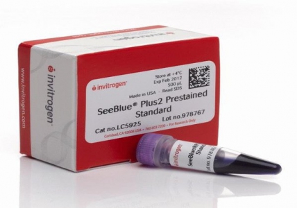 Thermo Fisher Scientific SeeBlue® Plus2 Pre-Stained Protein Standard, 500 µL