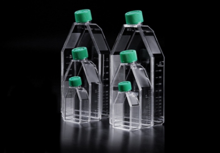 SPL T25 tissue culture flask, 4packs/bundle