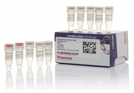 Thermo Scientific RevertAid First Strand cDNA Synthesis Kit, 100 reactions