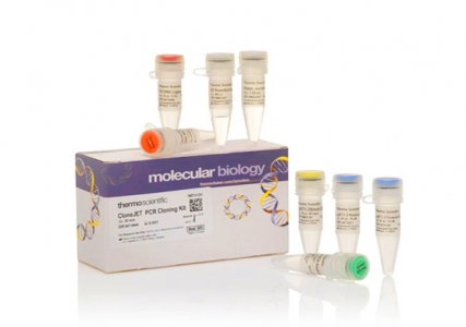 Thermo Scientific CloneJET PCR Cloning Kit