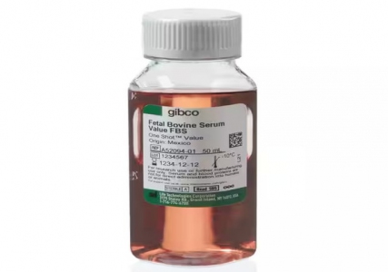 Thermo Fisher Scientific Fetal Bovine Serum, value, One Shot™ format, 50ml