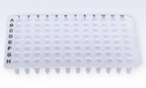Cellpro 0.2ml, 96 well PCR plate, Non Skirt, Clear,  Printing 10 pcs/bag, 50 pcs/cn